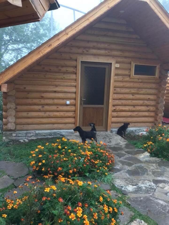 Harsnadzor Eco Resort Halidzor 외부 사진